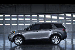 profile discovery sport